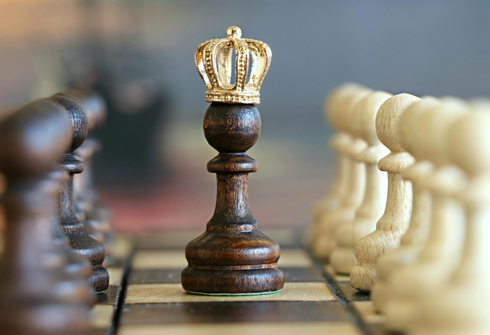  My Adventures on the 64 Squares: A Chess Blog